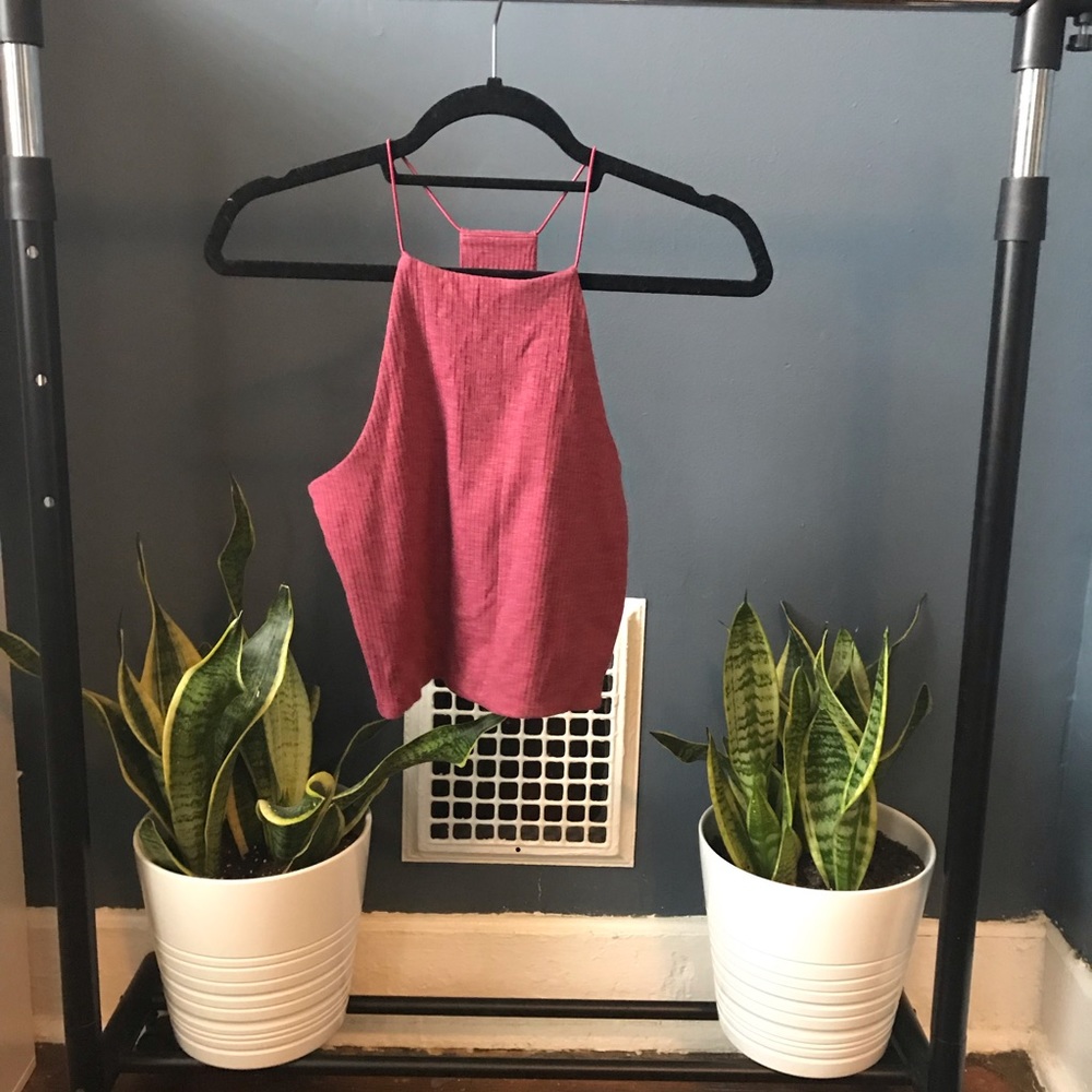 PacSun Crop Top - Muted Red